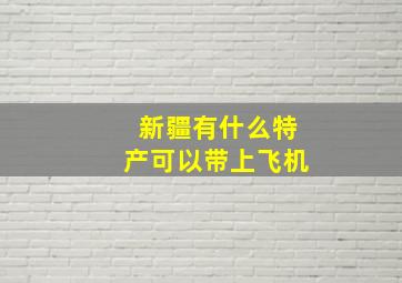 新疆有什么特产可以带上飞机