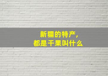 新疆的特产,都是干果叫什么