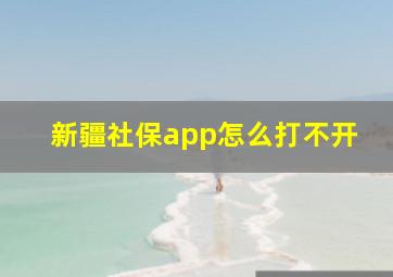 新疆社保app怎么打不开