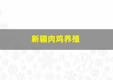 新疆肉鸡养殖