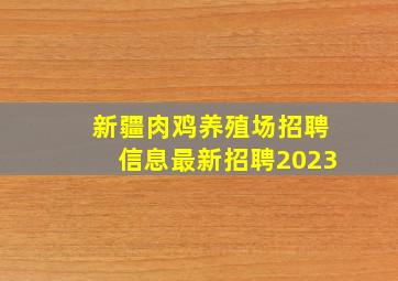 新疆肉鸡养殖场招聘信息最新招聘2023