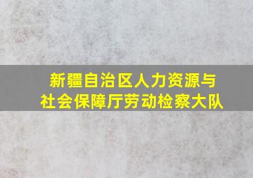 新疆自治区人力资源与社会保障厅劳动检察大队