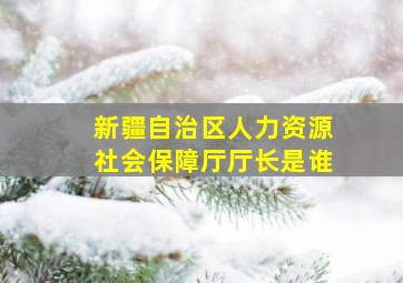 新疆自治区人力资源社会保障厅厅长是谁