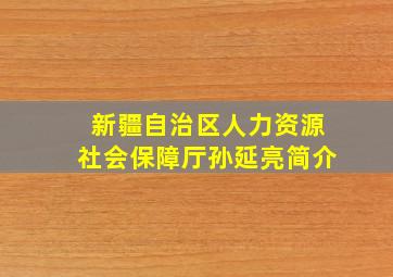 新疆自治区人力资源社会保障厅孙延亮简介