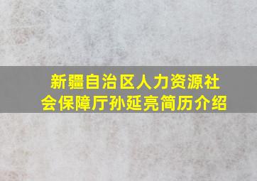 新疆自治区人力资源社会保障厅孙延亮简历介绍