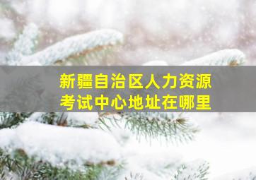 新疆自治区人力资源考试中心地址在哪里