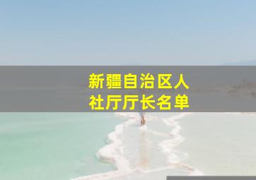 新疆自治区人社厅厅长名单