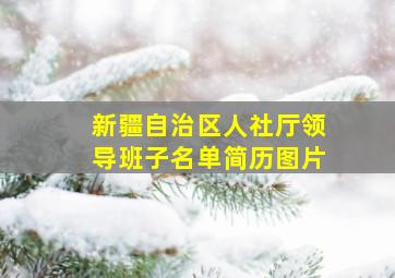 新疆自治区人社厅领导班子名单简历图片