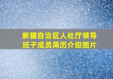 新疆自治区人社厅领导班子成员简历介绍图片