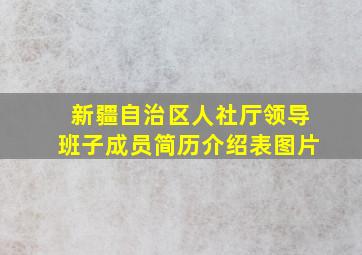 新疆自治区人社厅领导班子成员简历介绍表图片