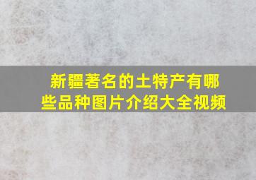 新疆著名的土特产有哪些品种图片介绍大全视频