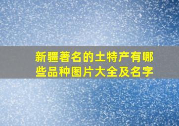 新疆著名的土特产有哪些品种图片大全及名字