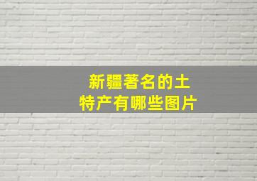 新疆著名的土特产有哪些图片