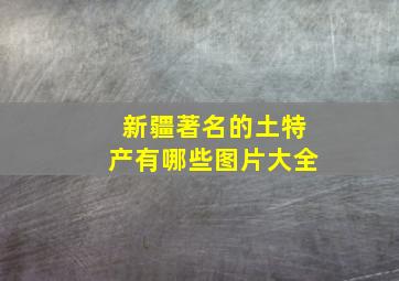 新疆著名的土特产有哪些图片大全