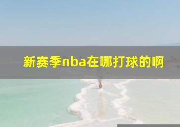 新赛季nba在哪打球的啊