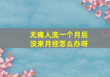 无痛人流一个月后没来月经怎么办呀