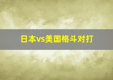 日本vs美国格斗对打