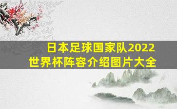 日本足球国家队2022世界杯阵容介绍图片大全