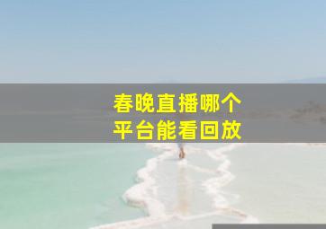 春晚直播哪个平台能看回放