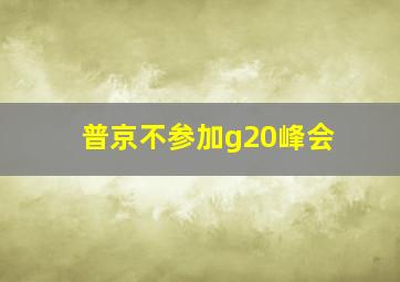 普京不参加g20峰会