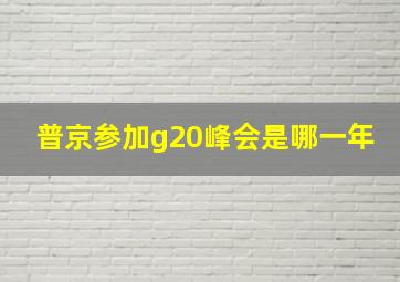 普京参加g20峰会是哪一年