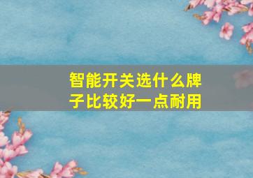 智能开关选什么牌子比较好一点耐用