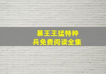 暴王王猛特种兵免费阅读全集