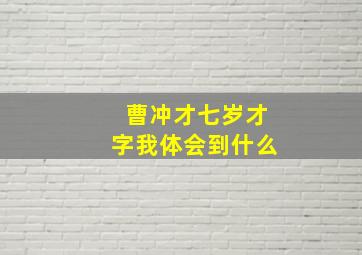 曹冲才七岁才字我体会到什么