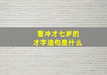 曹冲才七岁的才字造句是什么