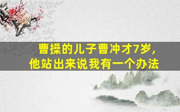 曹操的儿子曹冲才7岁,他站出来说我有一个办法