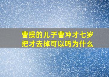 曹操的儿子曹冲才七岁把才去掉可以吗为什么