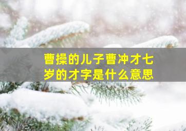 曹操的儿子曹冲才七岁的才字是什么意思