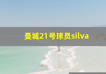 曼城21号球员silva