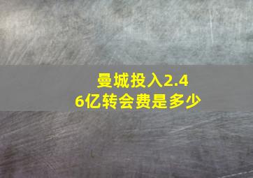 曼城投入2.46亿转会费是多少