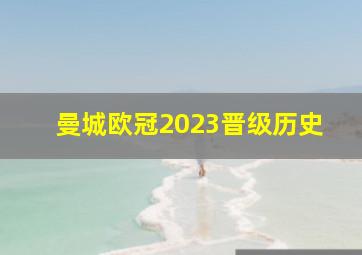 曼城欧冠2023晋级历史