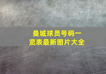 曼城球员号码一览表最新图片大全