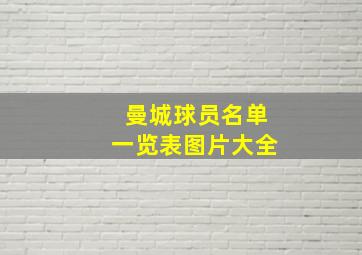 曼城球员名单一览表图片大全