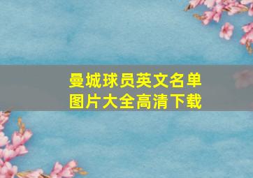 曼城球员英文名单图片大全高清下载