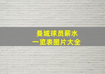 曼城球员薪水一览表图片大全