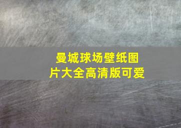 曼城球场壁纸图片大全高清版可爱