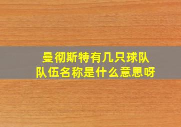 曼彻斯特有几只球队队伍名称是什么意思呀