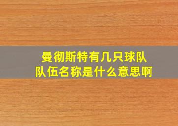 曼彻斯特有几只球队队伍名称是什么意思啊