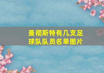 曼彻斯特有几支足球队队员名单图片