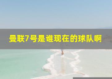 曼联7号是谁现在的球队啊