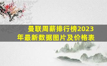 曼联周薪排行榜2023年最新数据图片及价格表