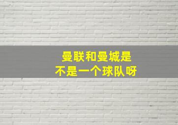 曼联和曼城是不是一个球队呀