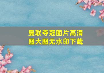 曼联夺冠图片高清图大图无水印下载