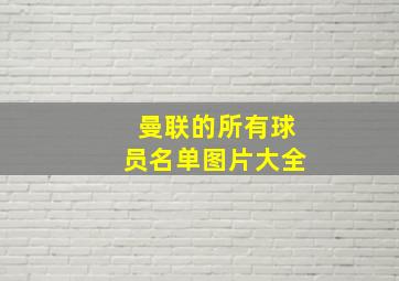 曼联的所有球员名单图片大全