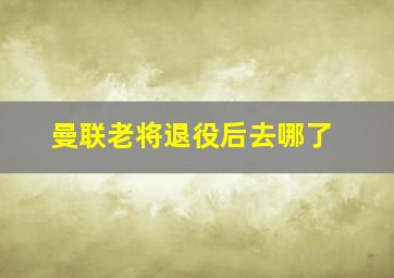 曼联老将退役后去哪了