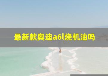 最新款奥迪a6l烧机油吗